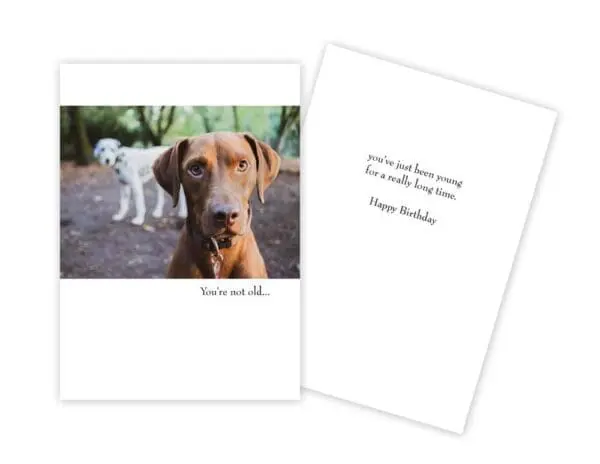  - 430-GC-2023-BD_lg.jpg