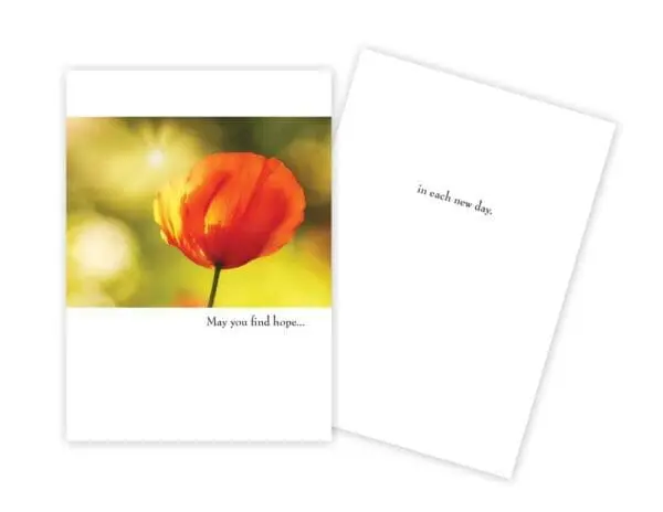  - 430-GC-2472-EN_lg.jpg