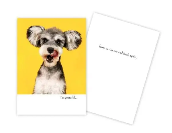  - 430-GC-2523-TY_lg.jpg