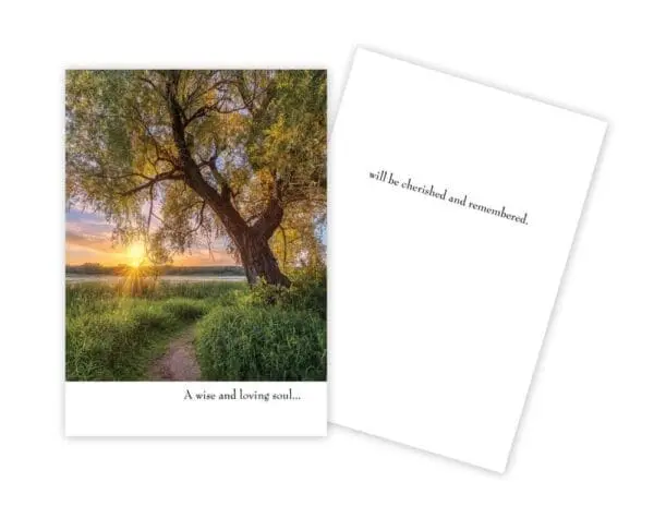  - 430-GC-2606-SY_lg.jpg