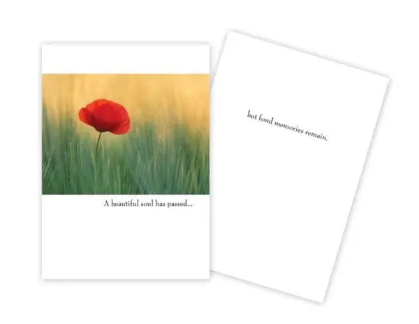  - 430-GC-2607-SY_lg.jpg