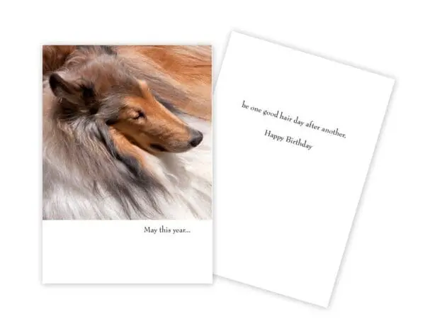  - 430-GC1040BD_lg.jpg