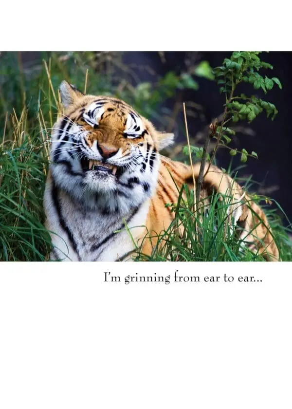  - 430-GC1102BD_lg.jpg