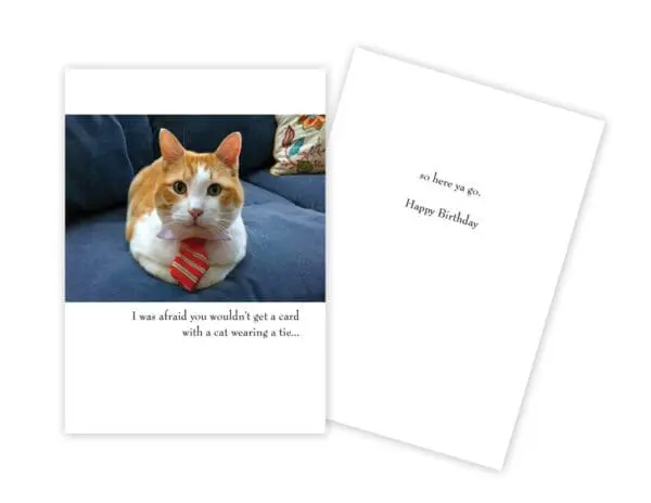  - 430-GC1117BD_lg.jpg