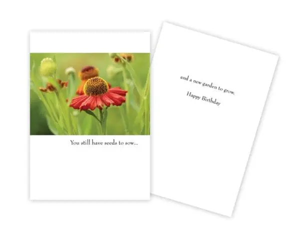  - 430-GC1140BD_lg.jpg