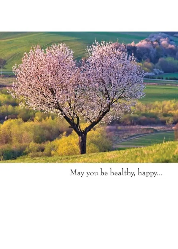  - 430-GC1170BD_lg.jpg