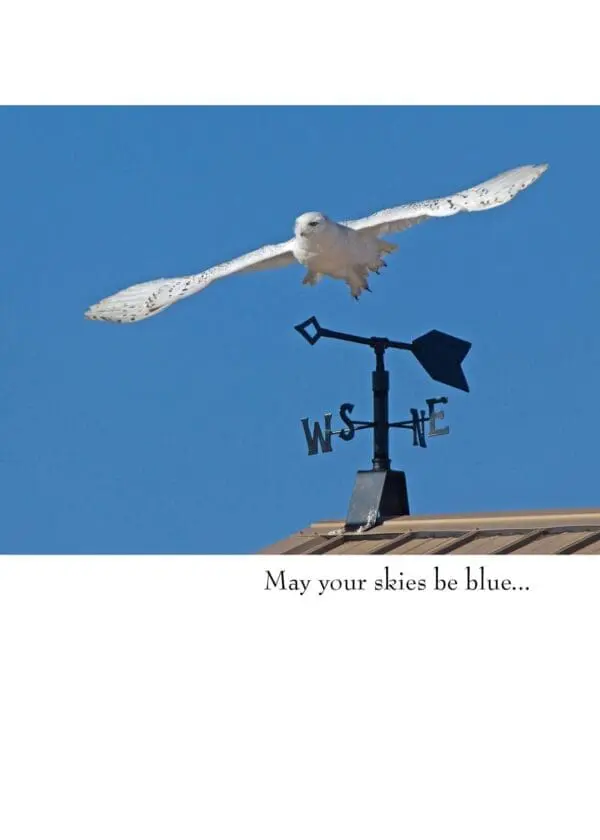  - 430-GC1482GL_lg.jpg