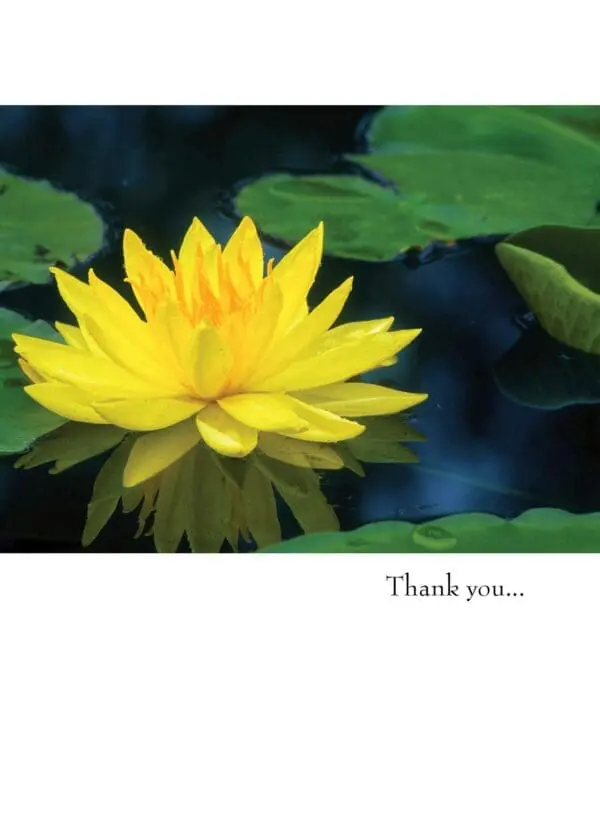  - 430-GC1539TY_lg.jpg