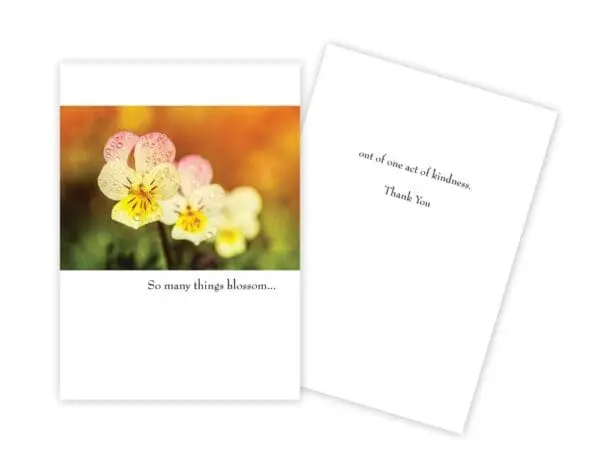  - 430-GC1544TY_lg.jpg