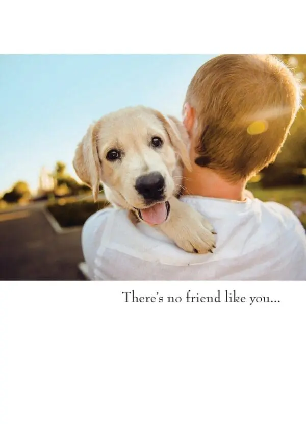  - 430-GC1550TY_lg.jpg