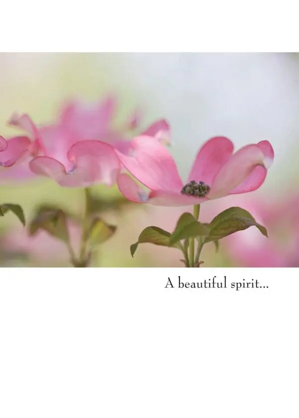  - 430-GC1599SY_lg.jpg