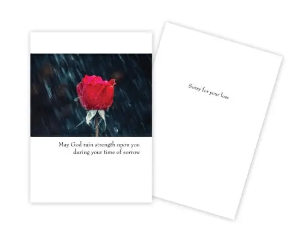  - 430-GC1606SY_lg.jpg