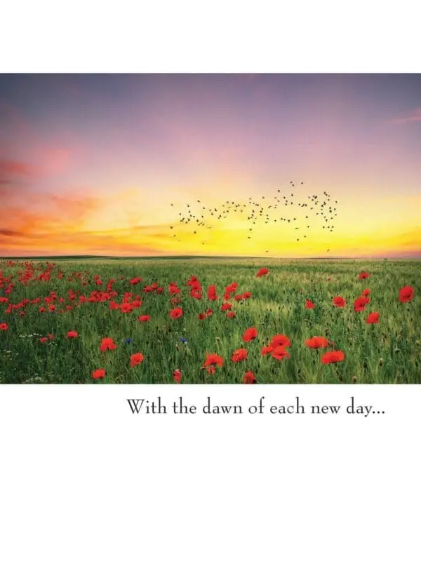  - 430-GC1612SY_lg.jpg