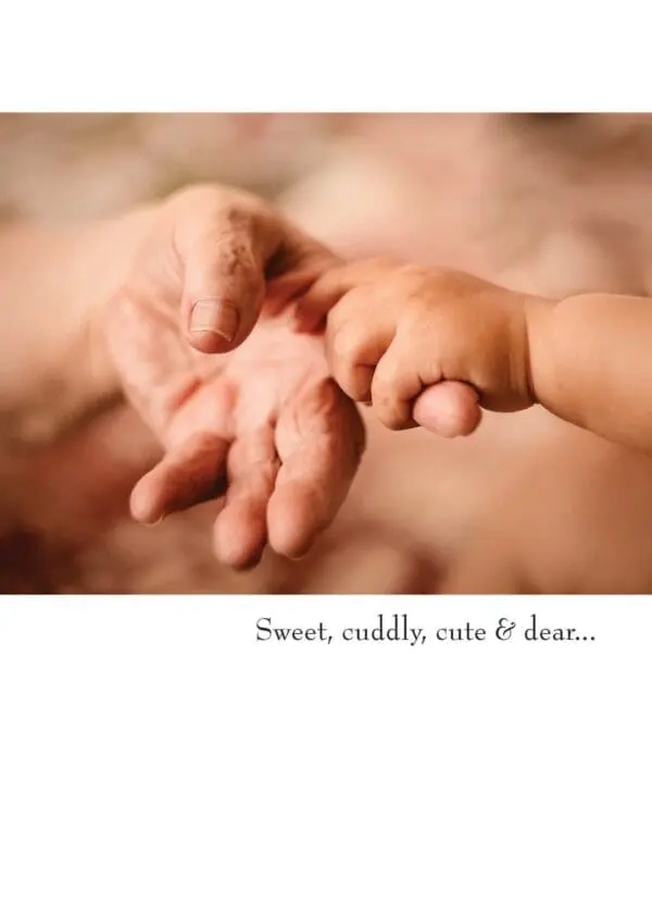  - 430-GC1988NB_lg.jpg