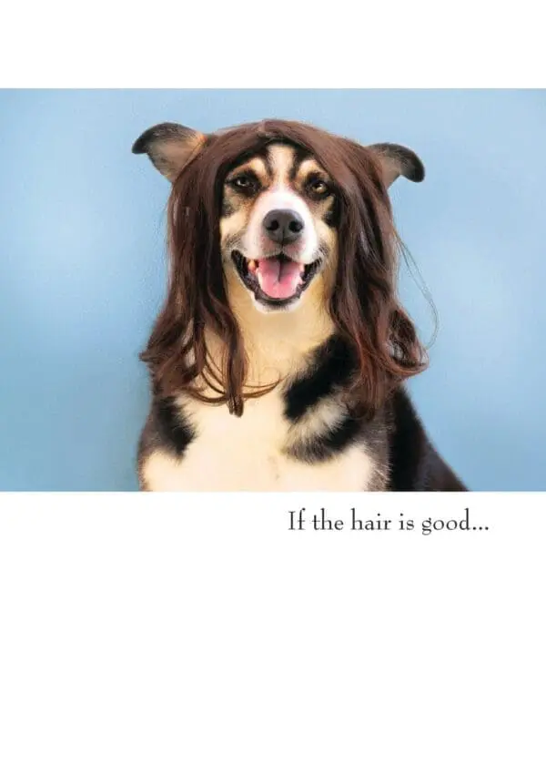  - 430-GC2002BD_lg.jpg