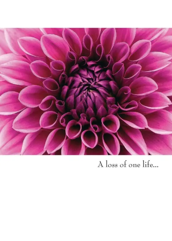  - 430-GC2600SY_lg.jpg