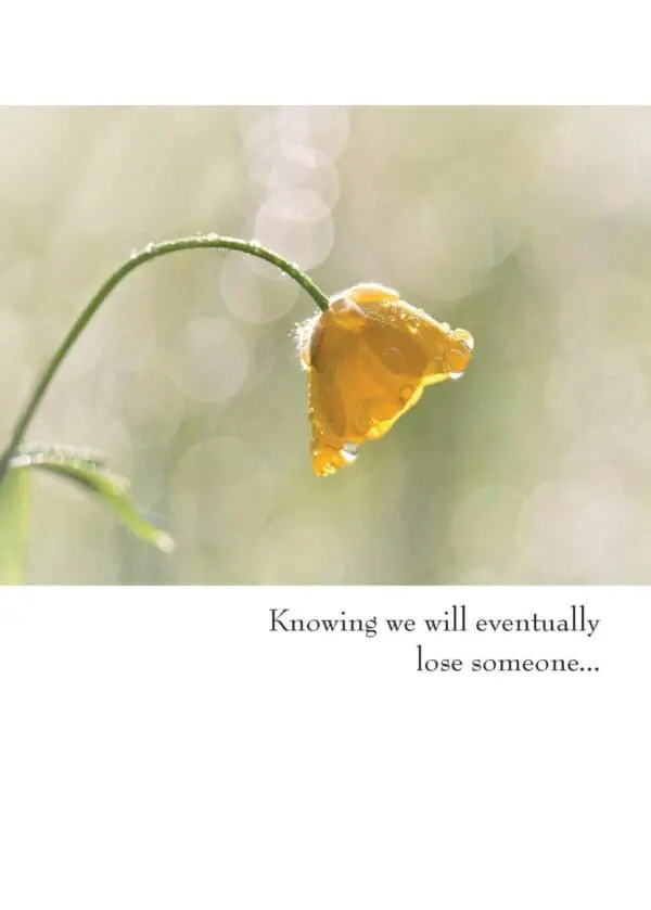  - 430-GC2602SY_lg.jpg