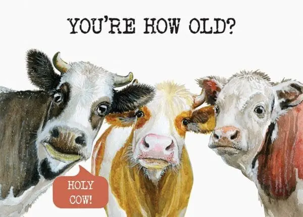  - 4334-GGDF493_lg.jpg