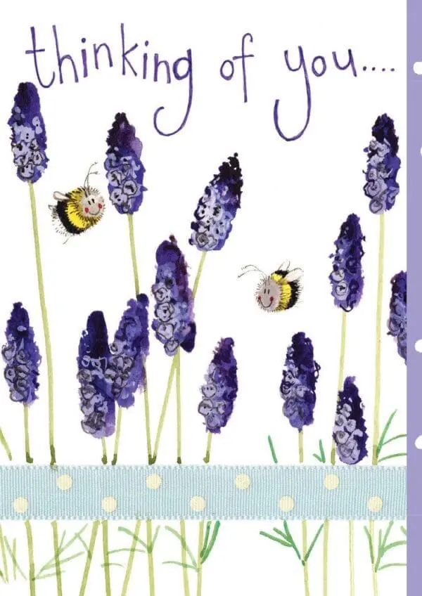  - 5199-USCD66_lg.jpg