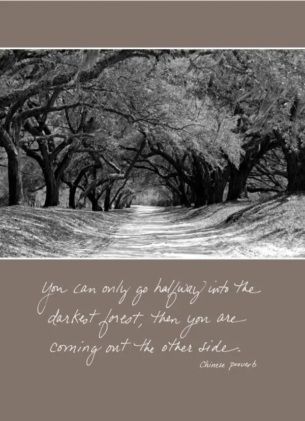  - 5521-C312TOY_lg.jpg