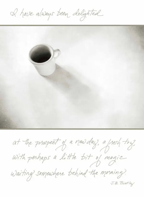  - 5521-C475TOY_lg.jpg