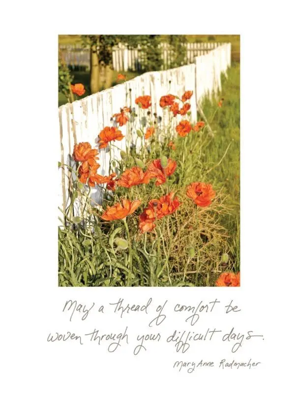  - 5521-C613CM_lg.jpg