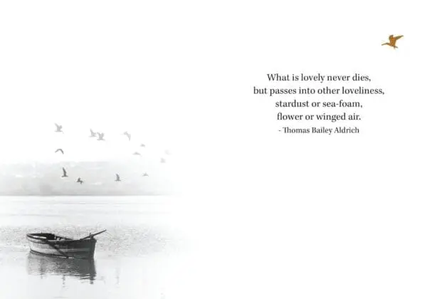  - 564-IOPE0062L_1_lg.jpg