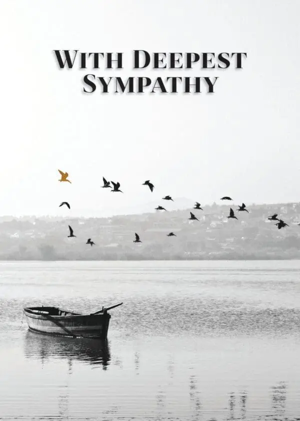  - 564-IOPE0062L_lg.jpg