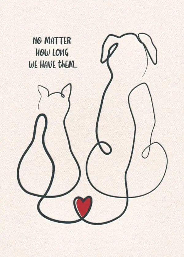  - 564-IOPE0080L_lg.jpg