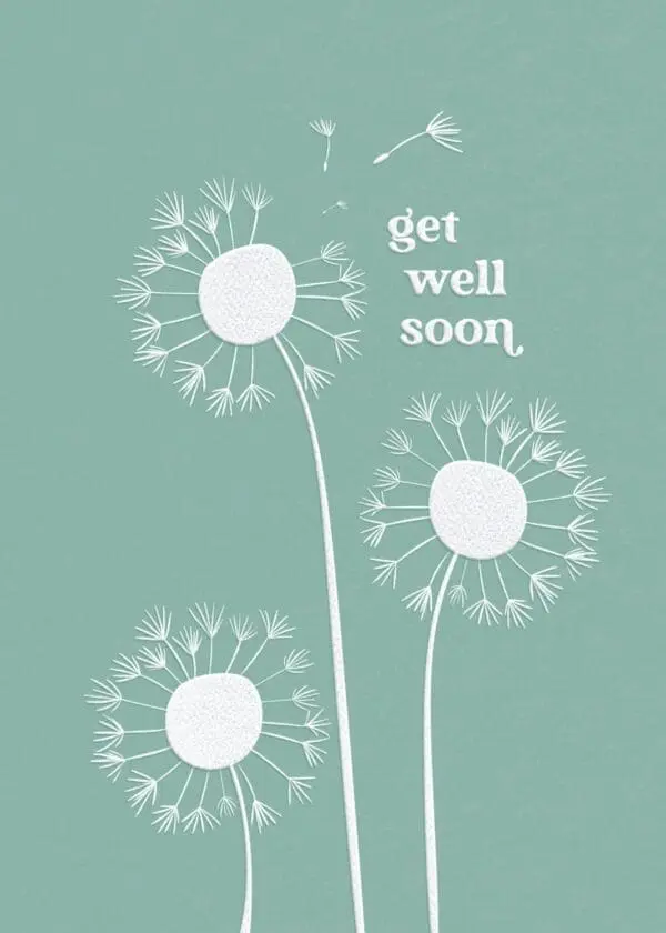  - 564-IOPE0081L_lg.jpg