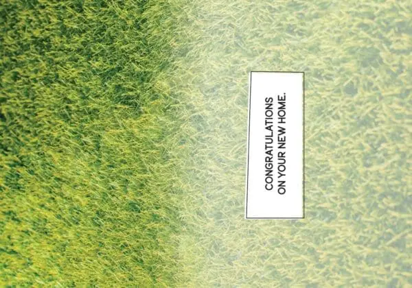  - 564-IOPE0092C_1_lg.jpg