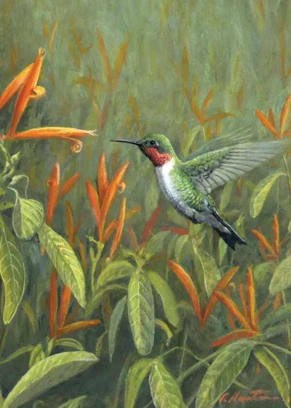  - 564-IOPE0140L_lg.jpg