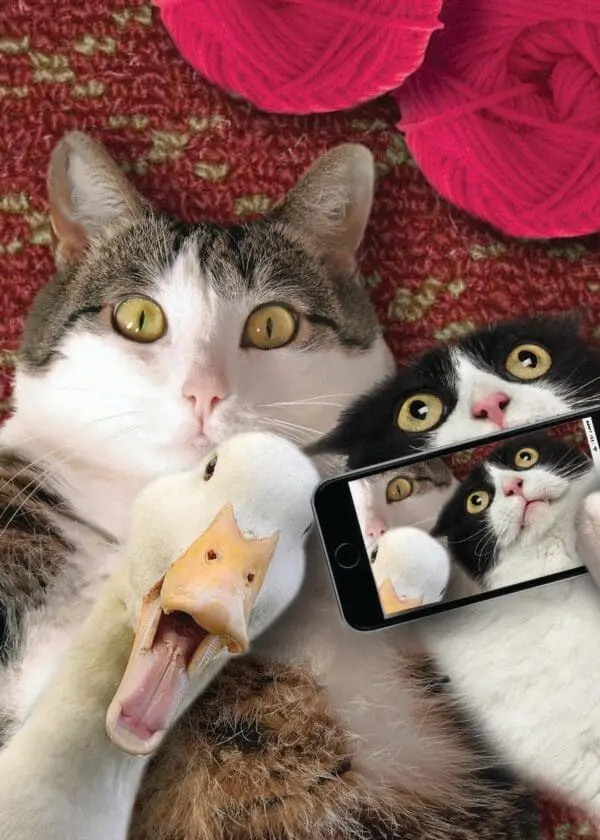  - 564-IOPE0156C_lg.jpg