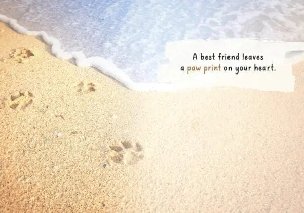  - 564-IOPE0160C_1_lg.jpg