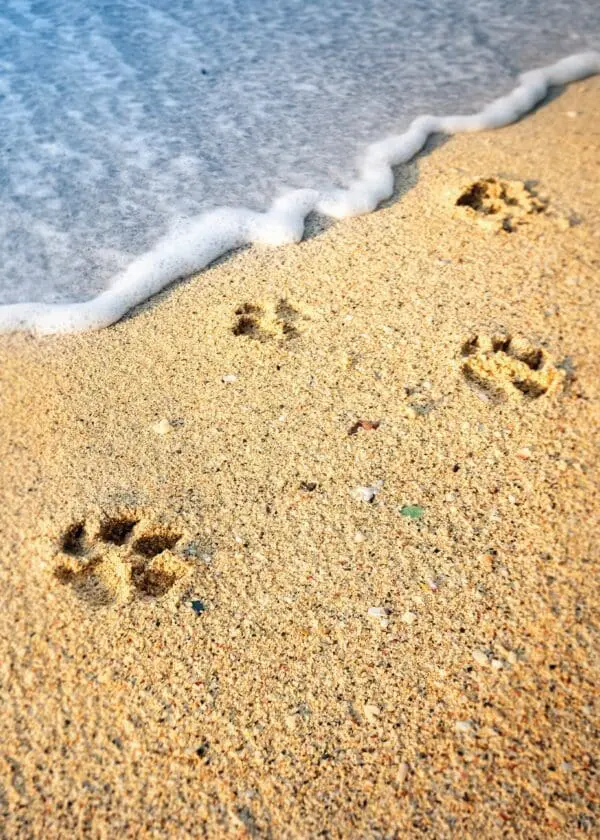  - 564-IOPE0160C_lg.jpg