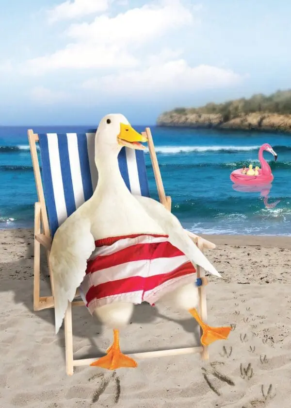  - 564-IOPE0179C_lg.jpg