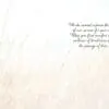 - 564-IOPE0184S_1_lg.jpg