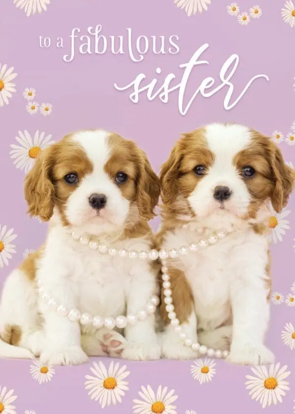  - 564-IOPE0193C_lg.jpg