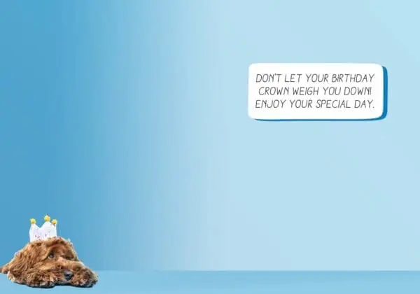  - 564-IOPE0203C_1_lg.jpg