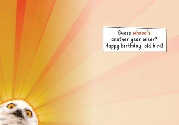  - 564-IOPE0224C_1_lg.jpg