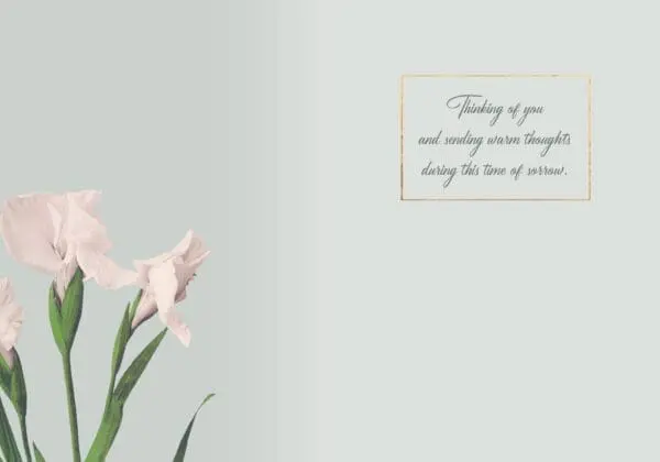  - 564-IOPE0232L_1_lg.jpg