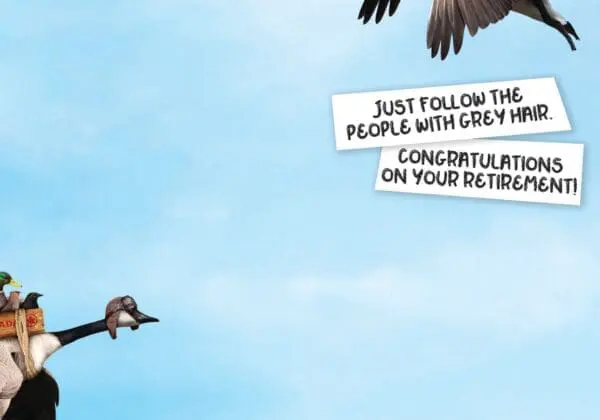  - 564-IOPE0255C_1_lg.jpg