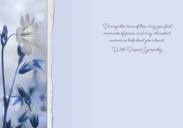  - 564-IOPE0259L_1_lg.jpg