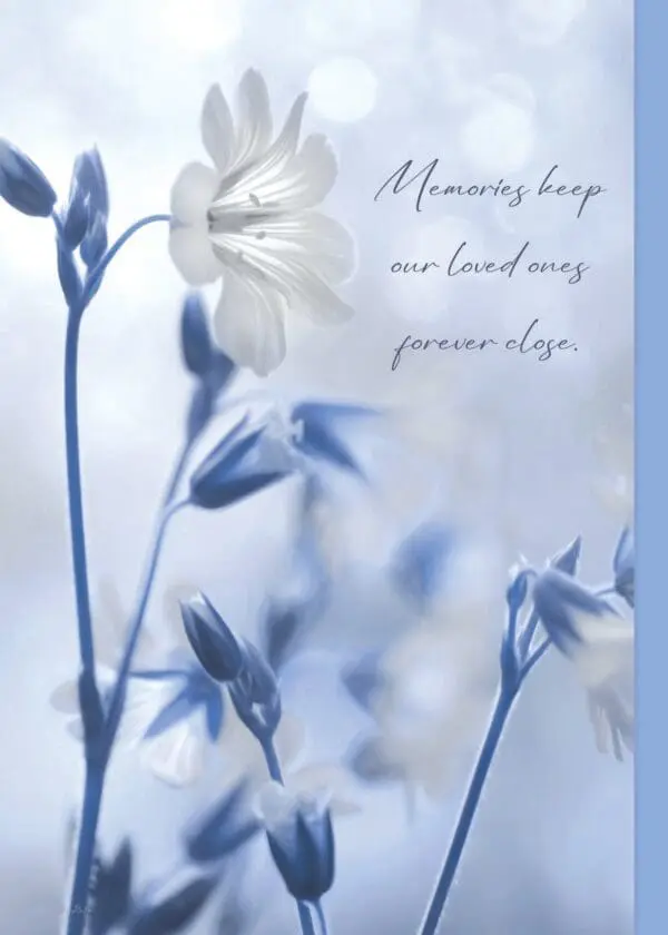  - 564-IOPE0259L_lg.jpg