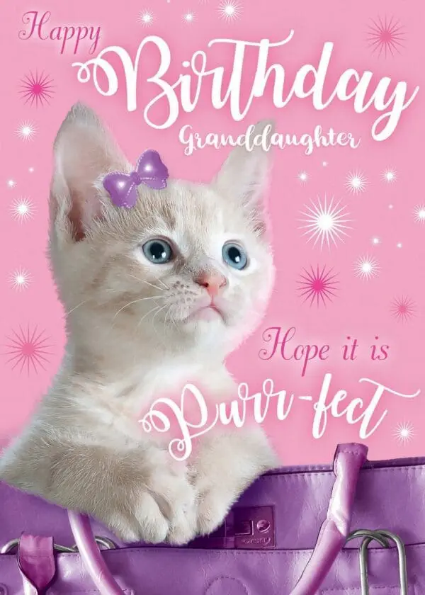  - 564-IOPE0265C_lg.jpg