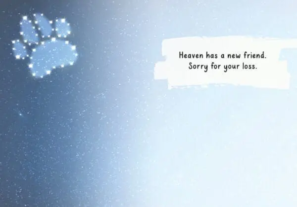  - 564-IOPE0268C_1_lg.jpg