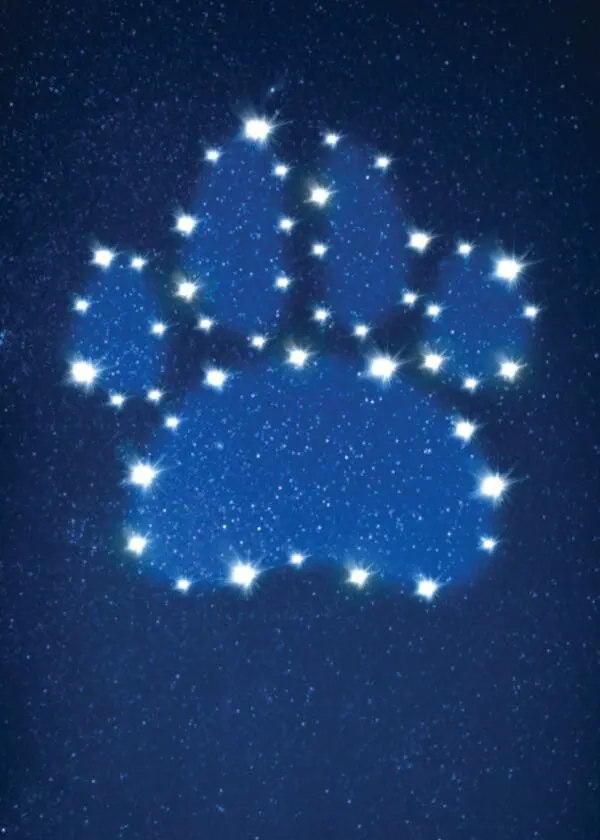  - 564-IOPE0268C_lg.jpg