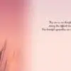 - 564-IOPE0274L_1_lg.jpg