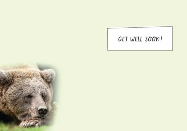  - 564-IOPE0482C_1_lg.jpg