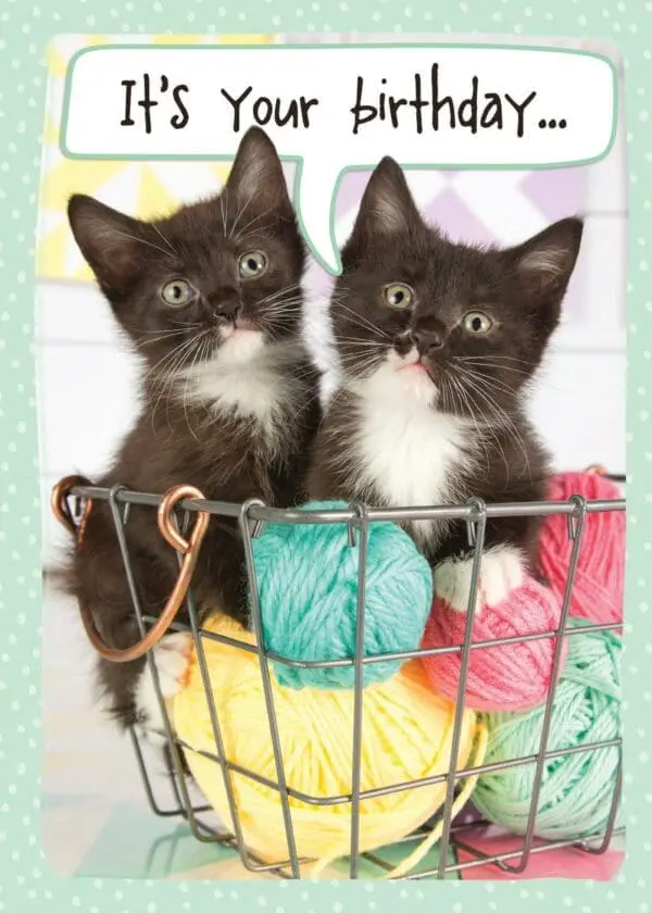  - 564-IOPE0488C_lg.jpg